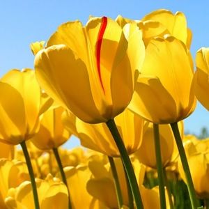 Meet your Posher, Lindsay